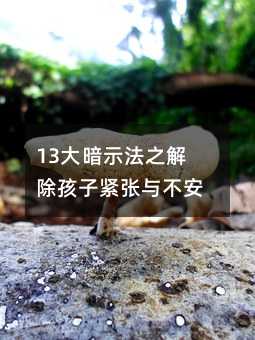 13��ʾ��֮������Ӿo���c����