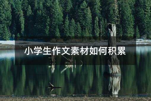 小學生作文素材如何積累