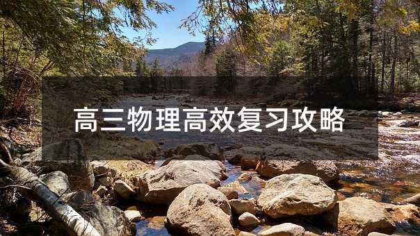 ����������Ч��������