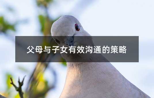 ��ĸ�c��Ů��Ч��ͨ�Ĳ���