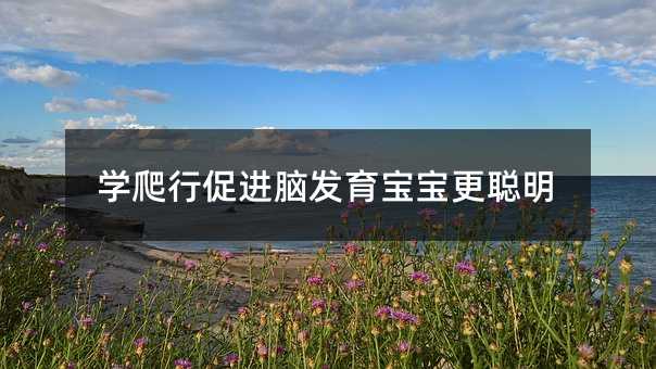 �W���д��M�X�l����������