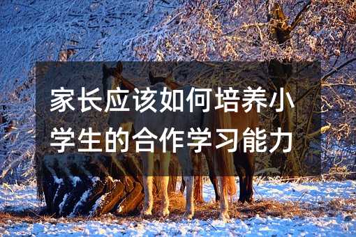 ���L��ԓ������BС�W���ĺ����W������