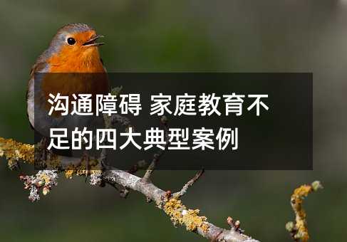 ��ͨ�ϵK ��ͥ����������Ĵ���Ͱ���