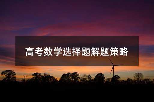 高考數(shù)學(xué)選擇題解題策略