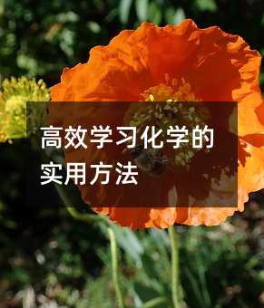 ��Ч�W�����W�Č��÷���