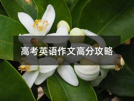 高考英語作文高分攻略