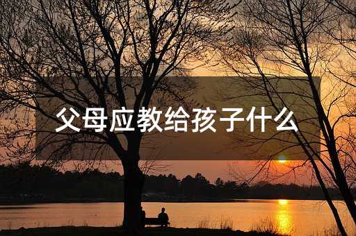 ��ĸ���̽o����ʲô