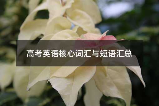 高考英語(yǔ)核心詞匯與短語(yǔ)匯總