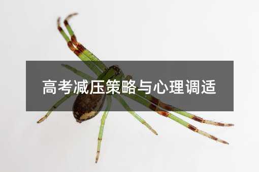 �߿��p�������c�����{�m