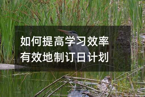 �����ߌW��Ч�� ��Ч����ӆ��Ӌ��