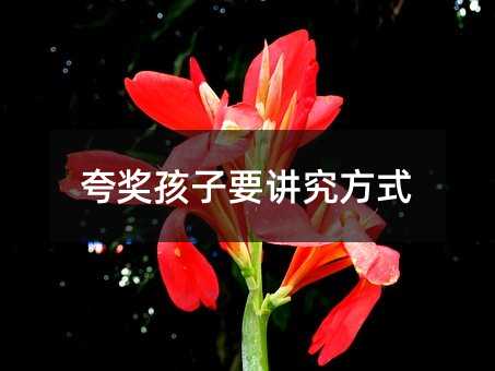 �䪄����Ҫ�v����ʽ