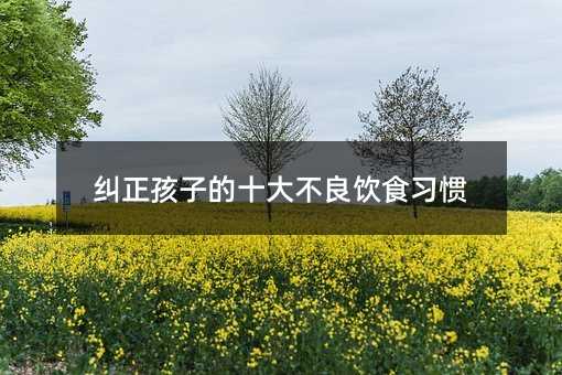 �m�����ӵ�ʮ�����ʳ���T