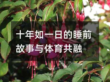 ʮ����һ�յ�˯ǰ�����c�w������