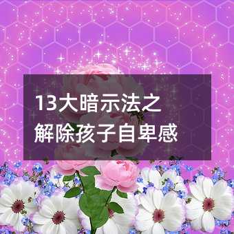 13��ʾ��֮��������Ա���