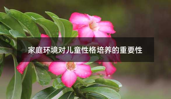 ��ͥ�h������ͯ�Ը����B����Ҫ��