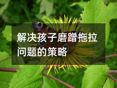 ��Q����ĥ���������}�Ĳ���