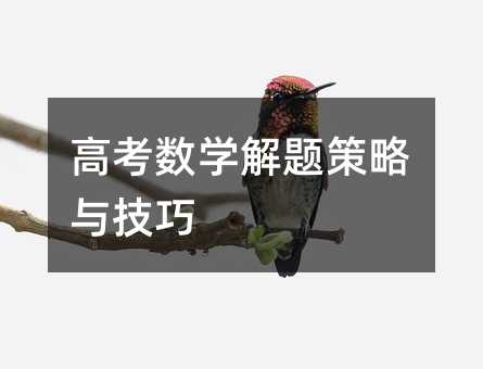高考數(shù)學(xué)解題策略與技巧