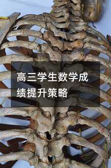 �����W�����W�ɿ���������