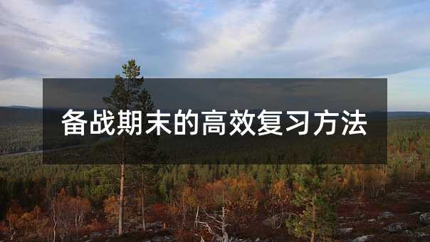 備戰(zhàn)期末的高效復(fù)習(xí)方法