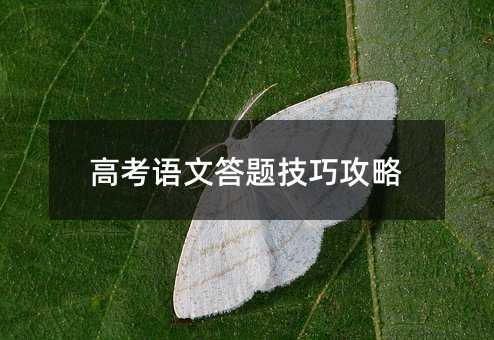高考語(yǔ)文答題技巧攻略
