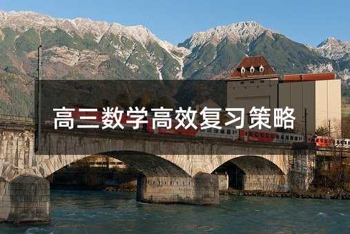 高三數(shù)學(xué)高效復(fù)習(xí)策略