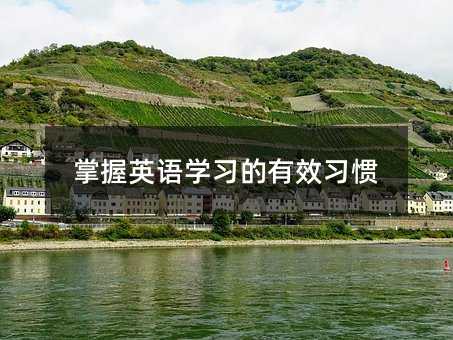 掌握英語學習的有效習慣