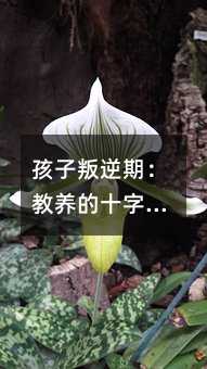 ���������ڣ����B��ʮ��·��