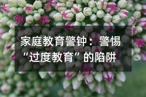 家庭教育警鐘:警惕“過度教育”的陷阱