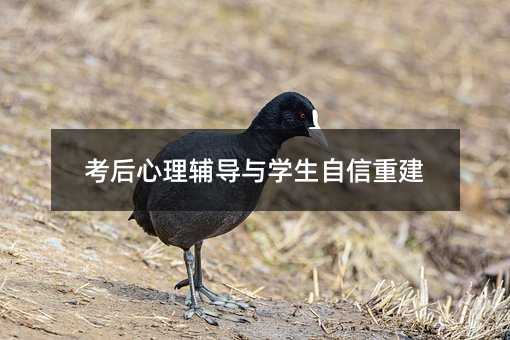 ���������o��(d��o)�c�W(xu��)�������ؽ�