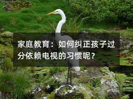 家庭教育:如何糾正孩子過分依賴電視的習慣呢?