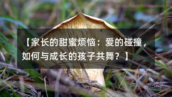 【家長的甜蜜煩惱:愛的碰撞,如何與成長的孩子共舞?】