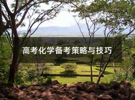 高考化學(xué)備考策略與技巧
