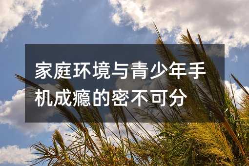 家庭環(huán)境與青少年手機(jī)成癮的密不可分