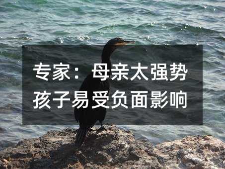 ���ң�ĸ�H̫���ݺ�������ؓ��Ӱ�