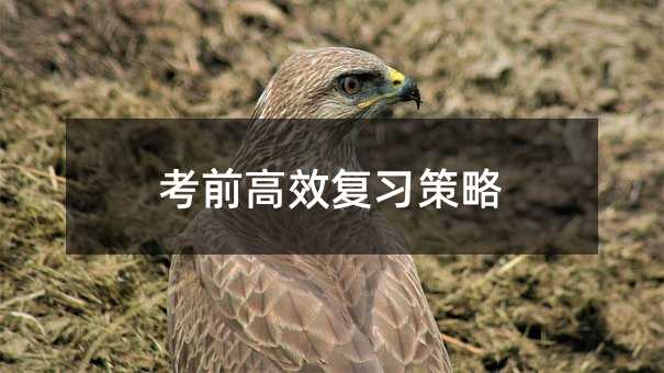 ��ǰ��Ч��������