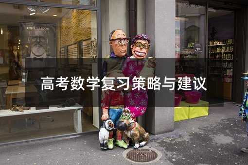 高考數(shù)學復習策略與建議