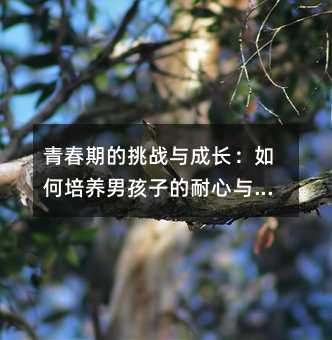 �ഺ�ڵ������c���L��������B�к��ӵ������c��ע