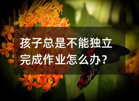 孩子總是不能獨立完成作業怎么辦?