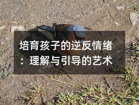 �������ӵ��淴��w�������c������ˇ�g