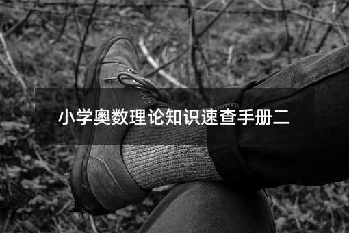 小學(xué)奧數(shù)理論知識速查手冊二