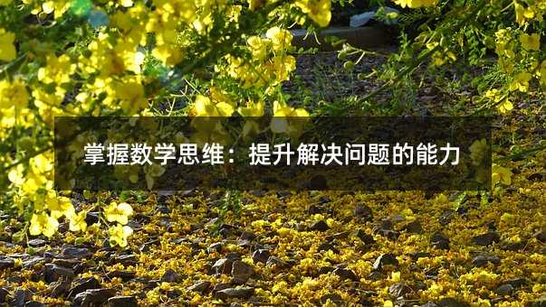 掌握數學思維:提升解決問題的能力