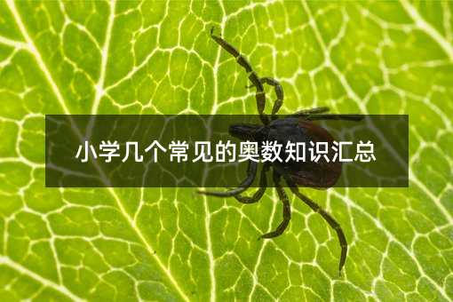 小學幾個常見的奧數知識匯總