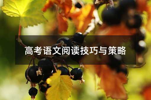 高考語(yǔ)文閱讀技巧與策略