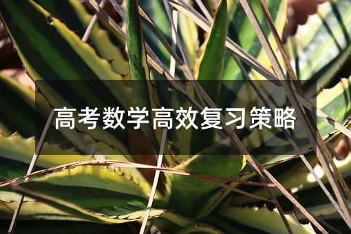 高考數(shù)學(xué)高效復(fù)習(xí)策略