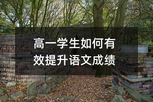 ��һ�W(xu��)�������Ч�����Z�ĳɿ�