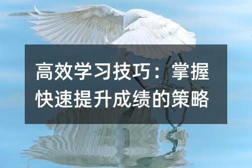 高效學習技巧:掌握快速提升成績的策略