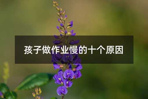 孩子做作業(yè)慢的十個原因