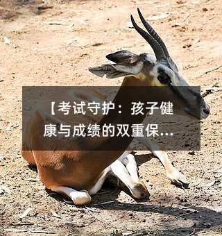 ����ԇ���o�����ӽ����c�ɿ����p�ر��ϡ�