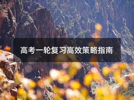 高考一輪復習高效策略指南