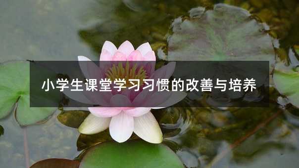 С�W���n�ÌW�����T�ĸ����c���B